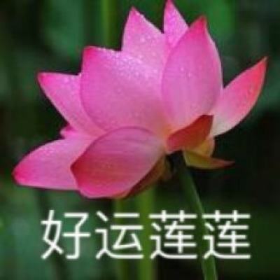 外交部：坚决反对建交国与中国台湾地区进行任何形式的官方往来